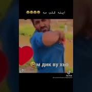 Жима Дог Ахь Са Дагина