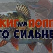 Ловля Горбачей На Попер Поклевки Горбачей Прям В Кадре