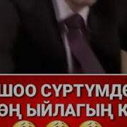 Жашоо Сүртүмдөрү