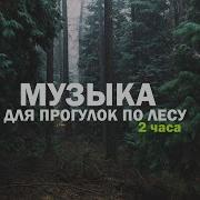 Музыка Для Прогулок В Лесу