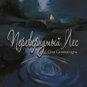 Сны Саламандры Дикая Охота