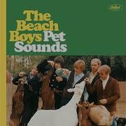 Pet Sounds Instrumental Stereo Mix