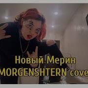 Алёна Швец Новый Мерин Morgenshtern Cover