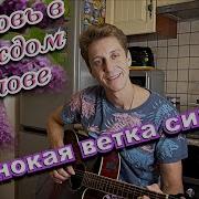 Ветка Сирени Бардин