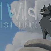 Run Wild Animation Tribute