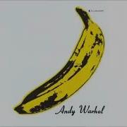 The Velvet Underground Andy Warhol Album