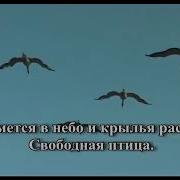 Свободная Птица Караоке