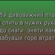 Блакитний Птах Пісня Минус
