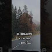 Я Твое Вредное Счастье