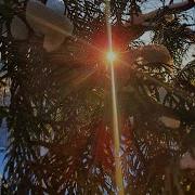 Зима Бывает Раз В Году