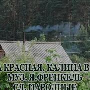 Караоке Калина Красная Калина Вызрела