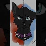 Мяу Мяу Я Кот Убийца Песня