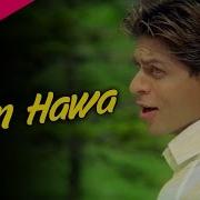 Kyon Hawa From Veer Zaara