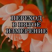Переход В Другой Мир