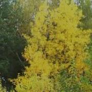 Анатолий Филипенко Сентябрьский Блюз