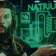Reactor Core