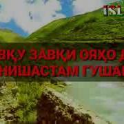 Аз Шавку Завки Ояхо