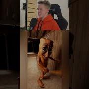 Тунь Тунь Тунь Тик Ток