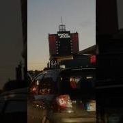 Снова Птицы В Стаи Собираются