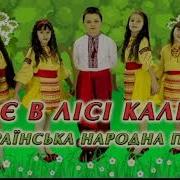 Ой Є В Лісі Калина Мінус
