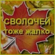 Сволочей Тоже Жалко
