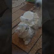 Тут Что Камера Что Ли