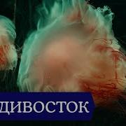 На Окраине Где То В Городе Выпуск 2021Г