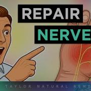 Your Day Nerve
