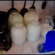 Веселье И Вкус Бодрящий
