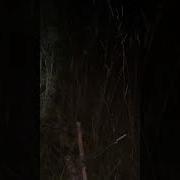 Ультра Звук Для Алкаша