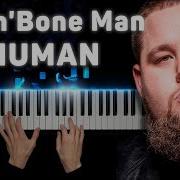 Human Rag N Bone Piano