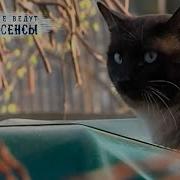 Экстрасенсы Ведут Расследование Нечесть В Доме