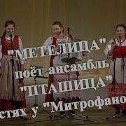 Ансамбль Пташица Метелица