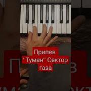 Сектор Газа Туман На Синтезаторе
