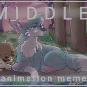 Midle Animation Meme