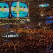 Alexander Gustafsson Entrance At Ufc Stockholm