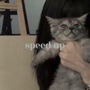 Автостопом По Фазе Сна Speed Up