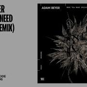 Adam Beyer What You Need Kolsch Remix