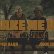 Wake Me Up Cover