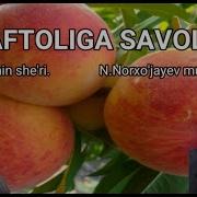 Shaftoliga Savolim