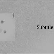Subtitle サブタイトル Subtitle
