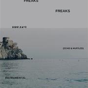 Freaks Echo Muffled Instrumental