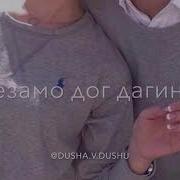 Безамо Дог Дагийна