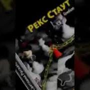 Рекс Стаут Гамбит Аудиокнига