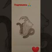 Из Тик Тока Задиак