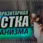 Антипаразитарная Чистка