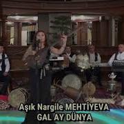 Nargile Mehtiyeva Daglar