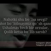 Shahram Nahotki Shu Bo Lsa Sevgi Karaoke