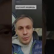 Медведь И Пчелы