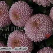 Хаз Дешнаш Подруге